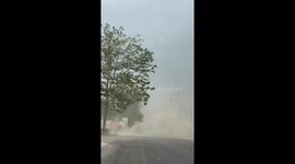 Cotton tree flowers blow onto road causing snowfall effect in Thailand