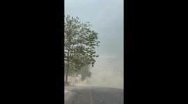 Cotton tree flowers blow onto road causing snowfall effect in Thailand