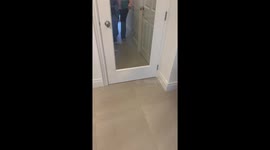 Family surprised with a puppy in Lisburn