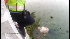 'Drunk' man sleeps on a river