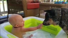 Summertime Baby Giggles