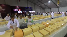 More than 5,000 cheeses on display at the International Cheese Awards