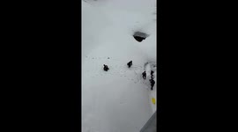 Child crashes sledge through fence, plunge down hillside into ditch