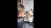 temp