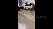 temp