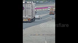 Loyal dog sprints down busy highway and leaps into moving car after owner accidentally drives off without it