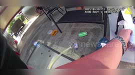 US: Abandoned Child and Dog Rescued in Deltona, Mother and Boyfriend Arrested