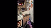 temp
