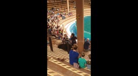 Oasis Wildlife Park fish shows off for cameras after frustrating getaway