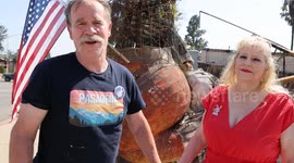 3 month anniversary of the Eaton Fire : Altadena’s famous Bunny Museum