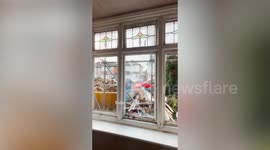 Sisters use ChatGPT for DIY home renovation saving thousands