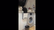 temp