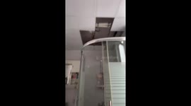 Cat crashes through ceiling in Shanghai, China