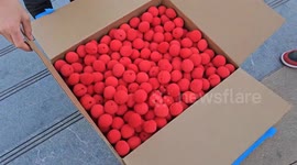 US: Mavericks Fan Hands Out Clown Noses Before Game With Lakers in Dallas, Texas