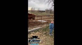 When your toddler moo’s for the first time… and the whole barnyard listens