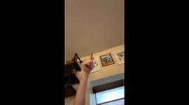 “Just a trim” hilariously turns into bootcamp buzzcut