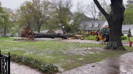 US: Cleanup Underway After Tree Falls During Storm in Dyersburg