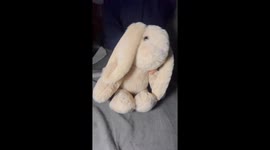 Lazy dance challenge dance by bunny toy