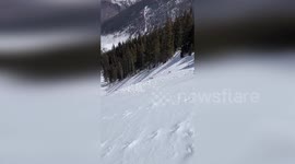 US: Video Captures Skier-Triggered Avalanche in Colorado