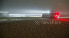 US, Los Angeles: Huntington Beach Gray Whale Washes Ashore