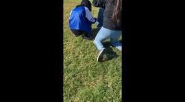 Iguana seen clinging to woman's trousers in Culiacán