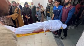 At least 17 more Palestinians killed by Israel amid ongoing Gaza genocide