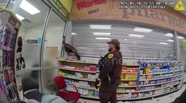 Turkey Causes Chaos, Leaves Grocery Store Unharmed in Indiana