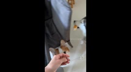 Everyone Gets Proportionally-Sized Bread