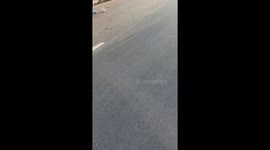 Snake spotted hanging from electrical wire in Tacloban, Philippines