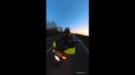 Motorcycle Rider Has Close Call With Pheasant