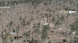 US: Michigan Crews Clear Roads and Restore Access After Ice Storm