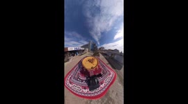 Feeding Stray Animals Using a 