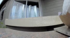 California earthquake rattling pool bar captured on CCTV