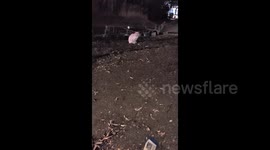 China: Feeding a Stray Cat While Crying