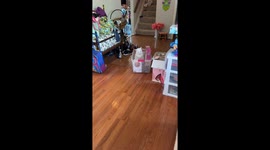 You can't pack that. Cat sets up shop and sits in a plastic storage bin.