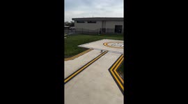 Move out of the way! Goose blowing away when helicopter arrives in Fairfax, VA