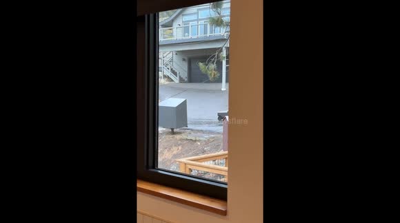 Trash Bin Mistaken for Cybertruck