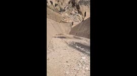 Deer trapped in spillway makes daring 12-foot leap to freedom