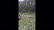 temp