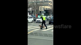 Traffic cop guides lost puppy across busy road in China