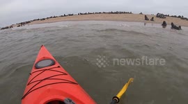 Kayaker removes fishing line causing deep cut on seal pup's neck