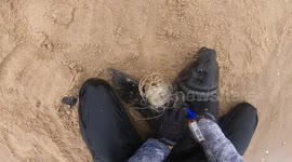 Two in One Rescue!! Both of these Seal Pups were Entangled in trawler line but i managed to save them both.