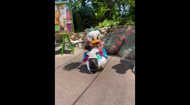 Toddler's dream comes true: A heartwarming encounter at Disney's Animal Kingdom