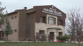 Türkiye: Famed Van cat ‘Su,’ winner of beauty contest, welcomes five kittens in eastern Türkiye