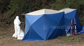 Police forensics investigate after skeletal remains found in Staffordshire field