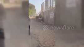 Egypt: Tourist Stands Up to Donkey Abuse in Egypt