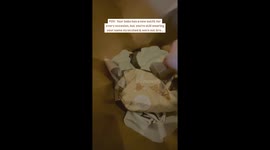 I’m somewhat a picky mum when it comes to outfits for my son so I recorded some of the shopping of new outfits I got for my son and then cut to a video of me in the same old used bra wondering how he always gets new outfits for every occasion where I’m st