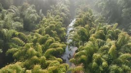 China: Peak firefly-viewing season in Sichuan county sparks tourism buzz