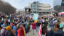 US: Pro-Palestine demonstrators rally against Trump administration in Alaska