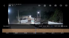 Brave Pup Becomes Local Hero: Dog Saves Owner from Robbers in Gujarat’s Morbi